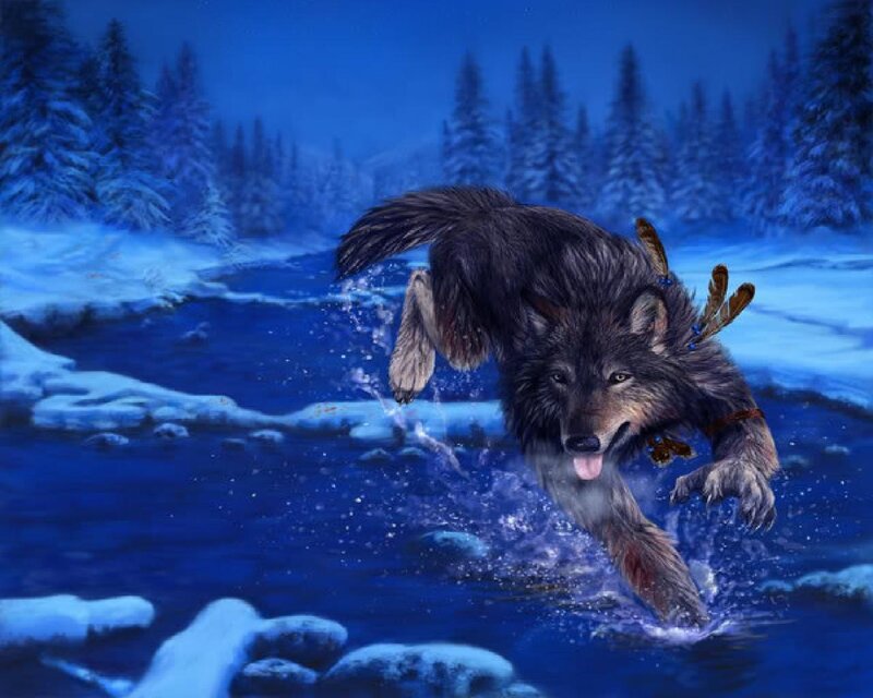 Wolf Running Through River