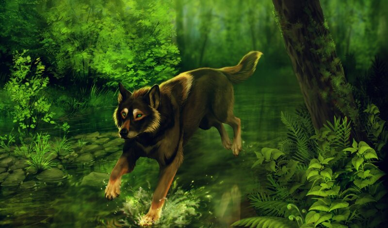 Wolf Running Through Stream — Green