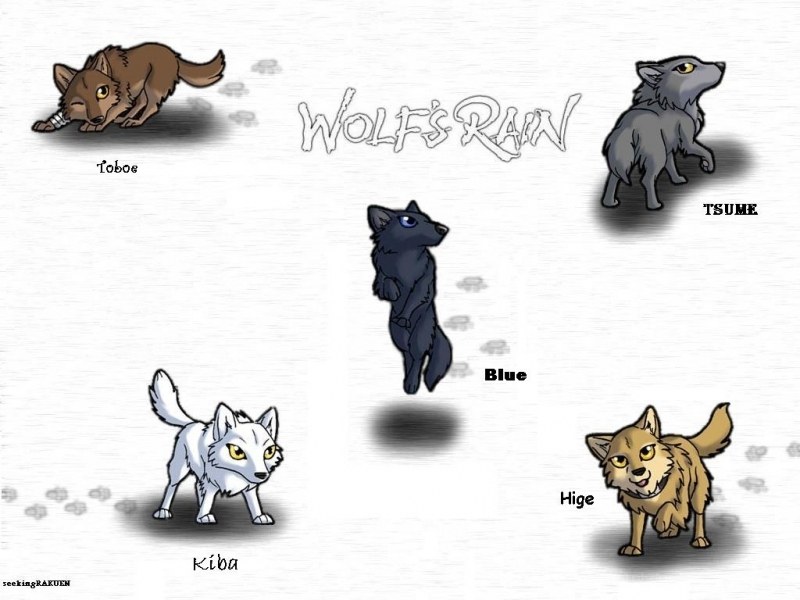 Wolf's Rain character lineup