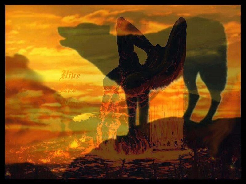 Wolf Silhouette at Sunset — Orange, Dramatic