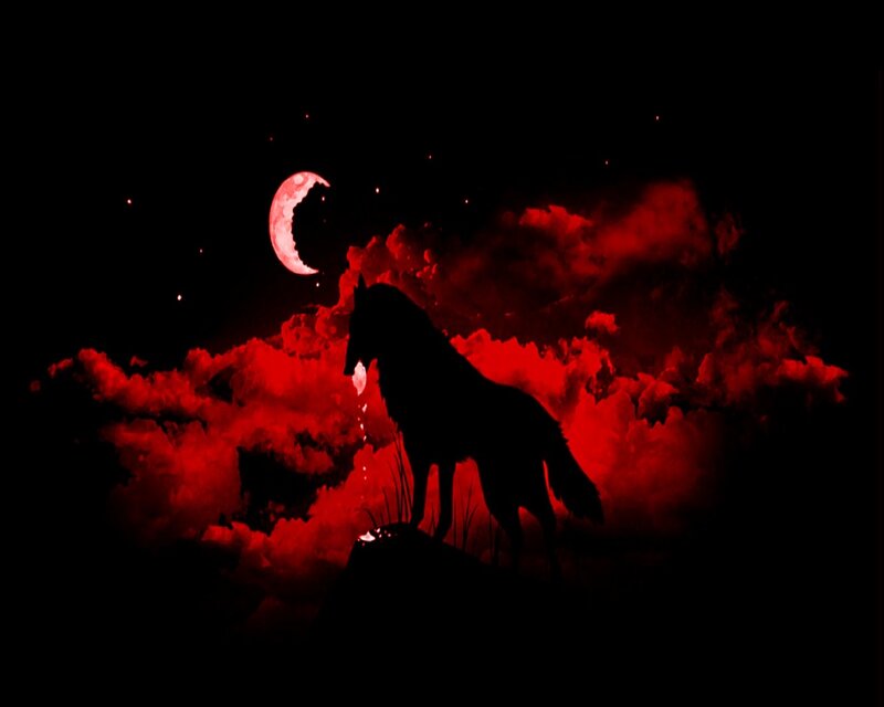 Wolf Silhouette — Black, Dramatic, Night, Digital Art