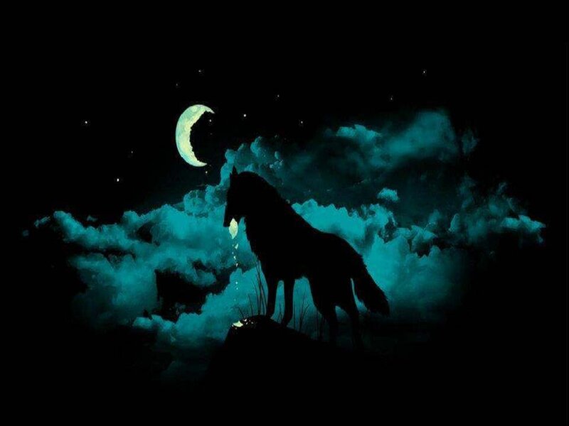 Wolf Silhouette — Black, Dramatic, Night