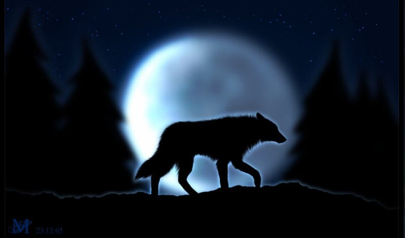 Wolf Silhouette — Black