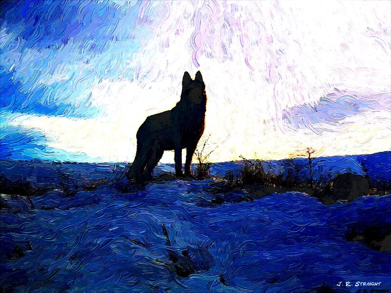 Wolf Silhouette — Blue, Dramatic, Sunset