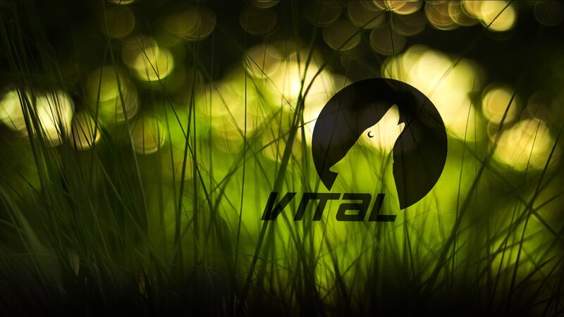 Wolf Silhouette in Grass
