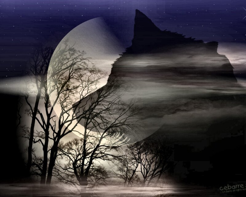 Wolf Silhouette in Moonlight