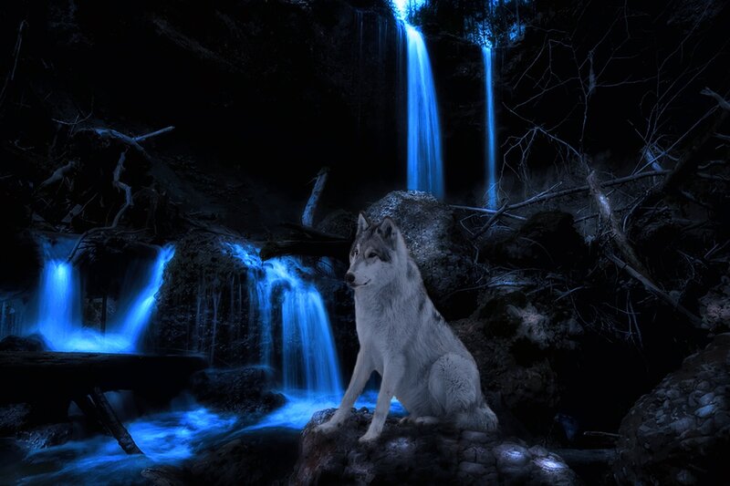 Wolf Sitting by Waterfall