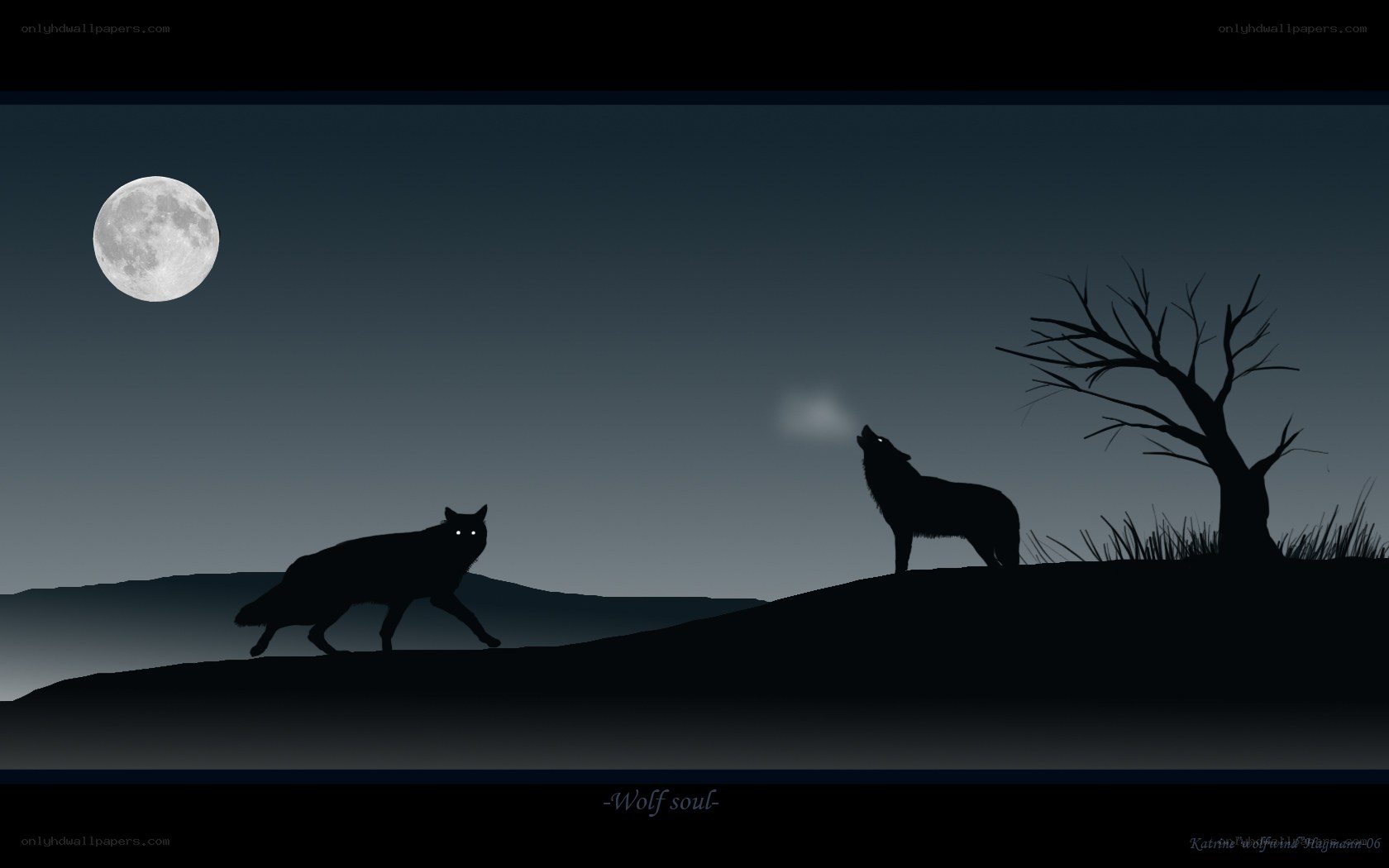 Wolf soul under moonlight