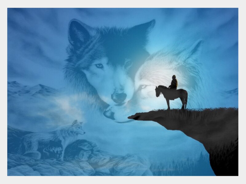 wolf spirit and rider silhouette