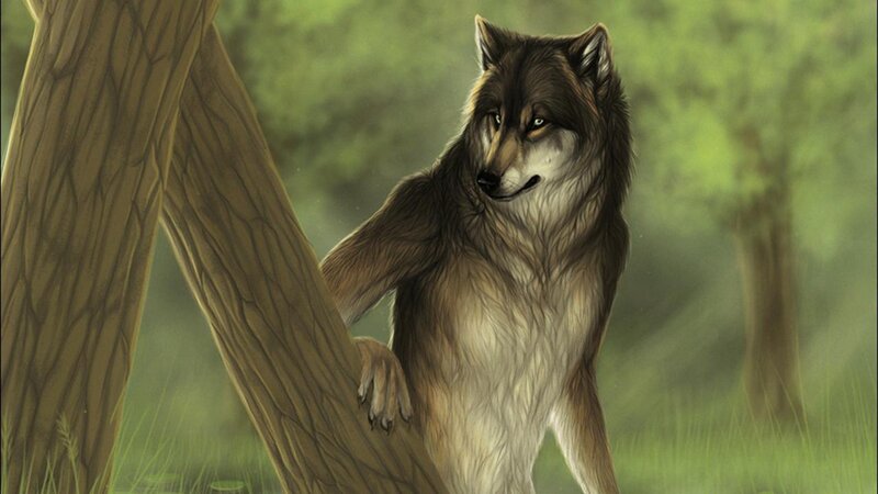 Wolf Standing by Tree — Brown