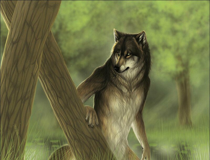 Wolf Standing by Tree