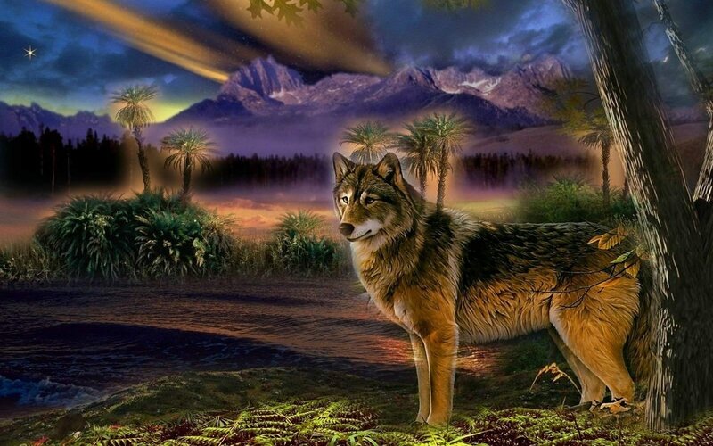 Wolf Standing in Forest — Brown, Dramatic