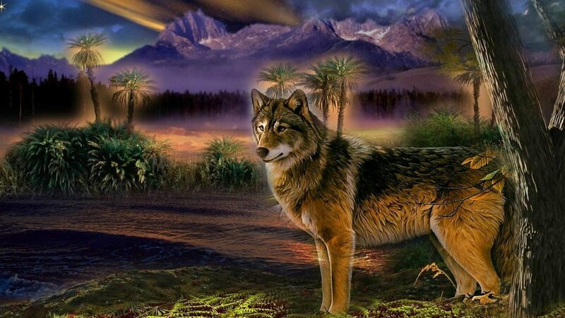 Wolf Standing in Forest — Brown