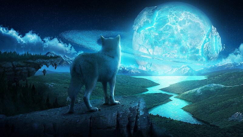 wolf under a glowing moon