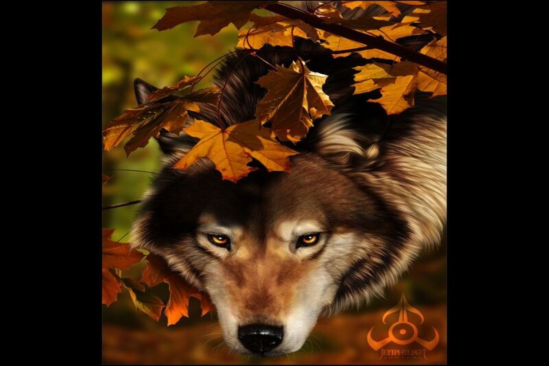 Wolf under Autumn Leaves