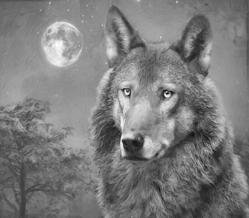 Wolf under Moon