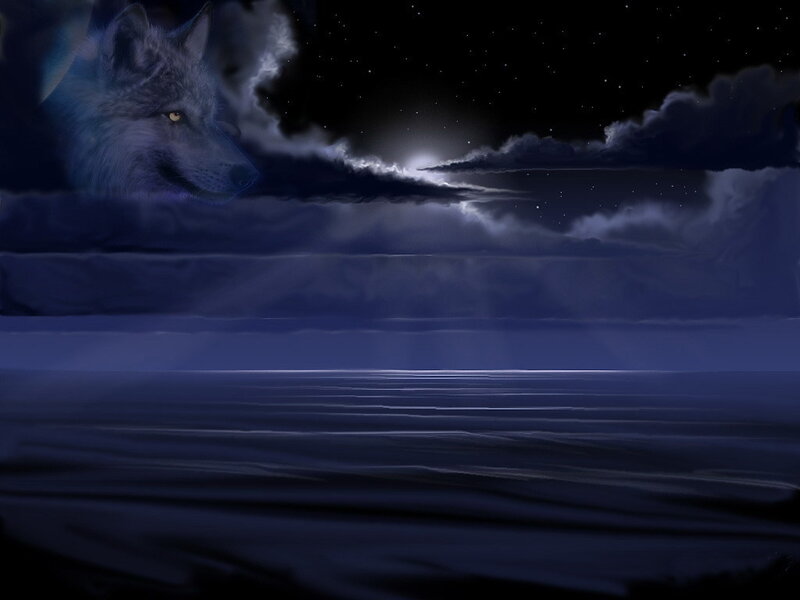 wolf under moonlit sky