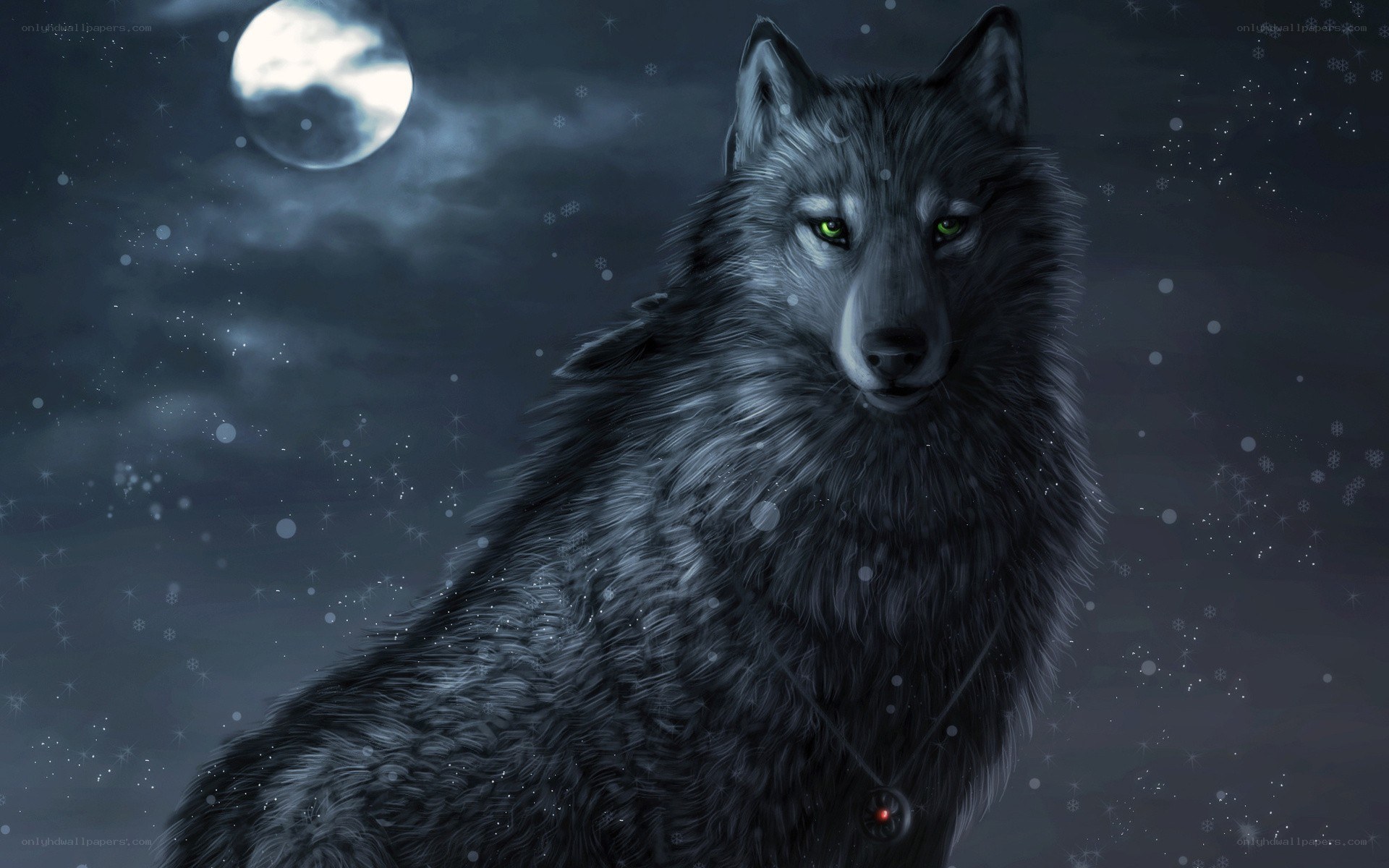wolf under the moon