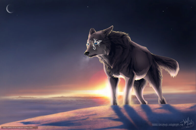 wolf under the moon