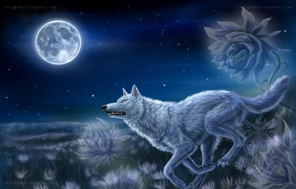 wolf under the moonlight