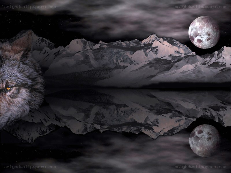 Wolf under twin moons