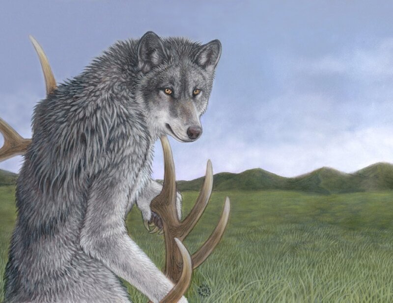 Wolf with Antlers