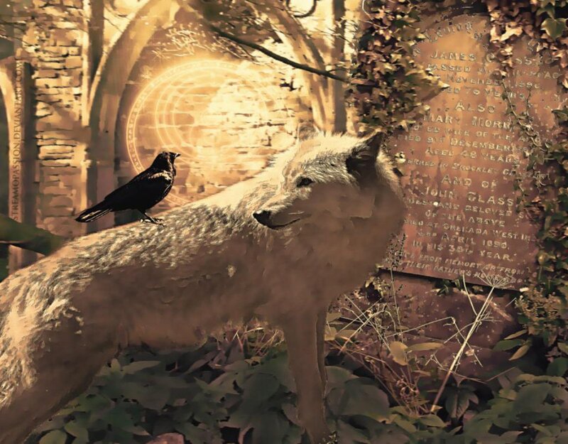 Wolf with Crow on Back