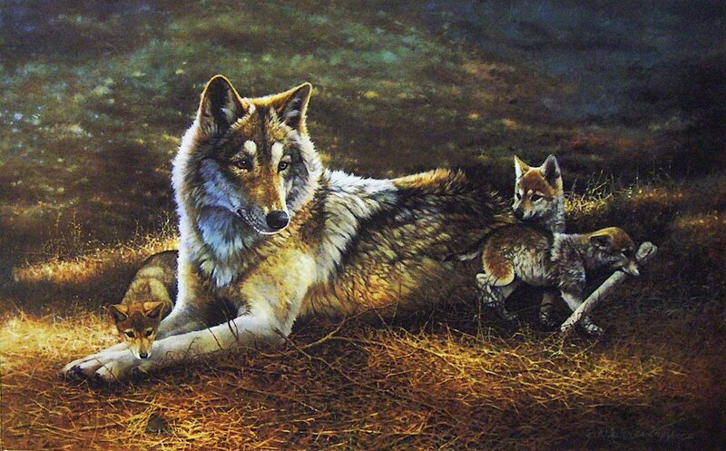 Wolf with Cubs — Brown, Calm