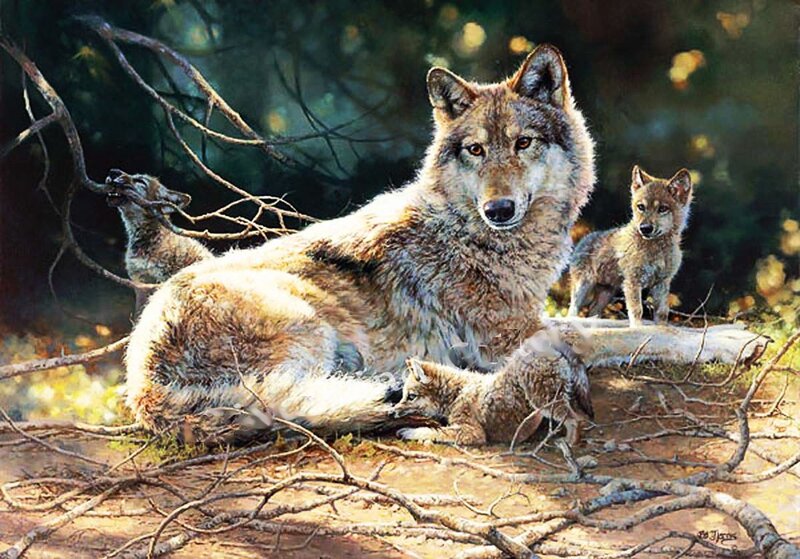 Wolf with Cubs — Brown, Serene