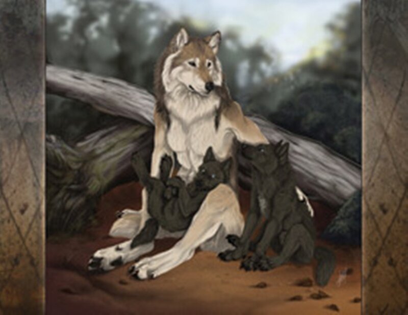 Wolf with Cubs