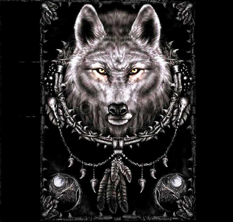 Wolf with Dreamcatcher
