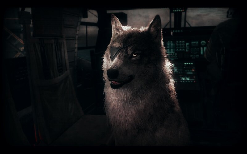 Wolf with Eyepatch — Black