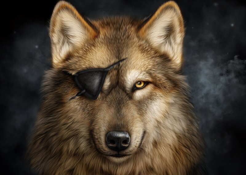 Wolf with Eyepatch