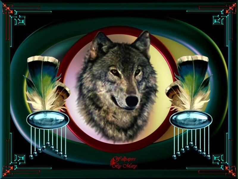 Wolf with feathers and beads