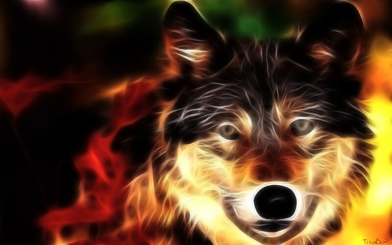 Wolf with Fiery Effect — Yellow