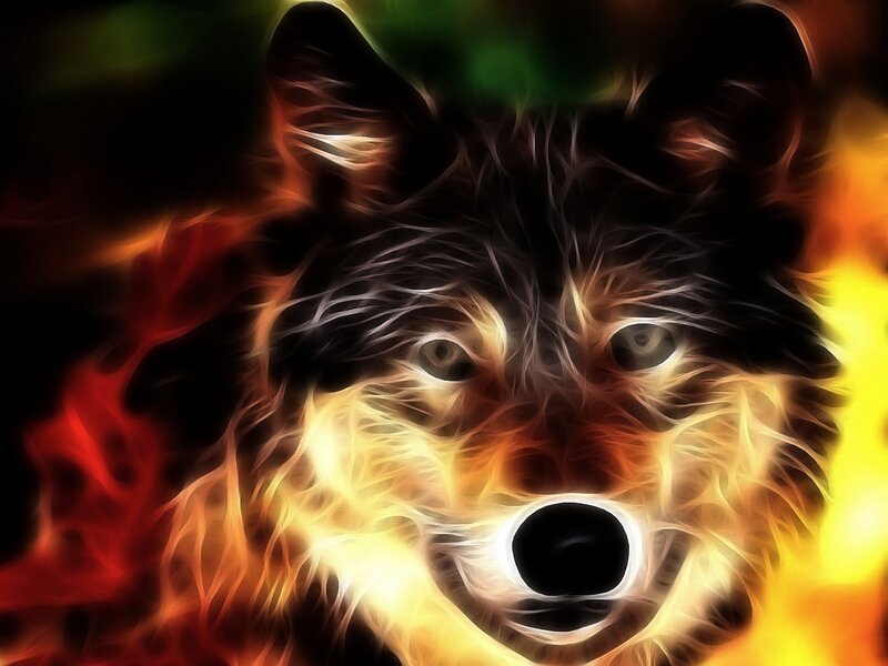 Wolf with Fiery Fur