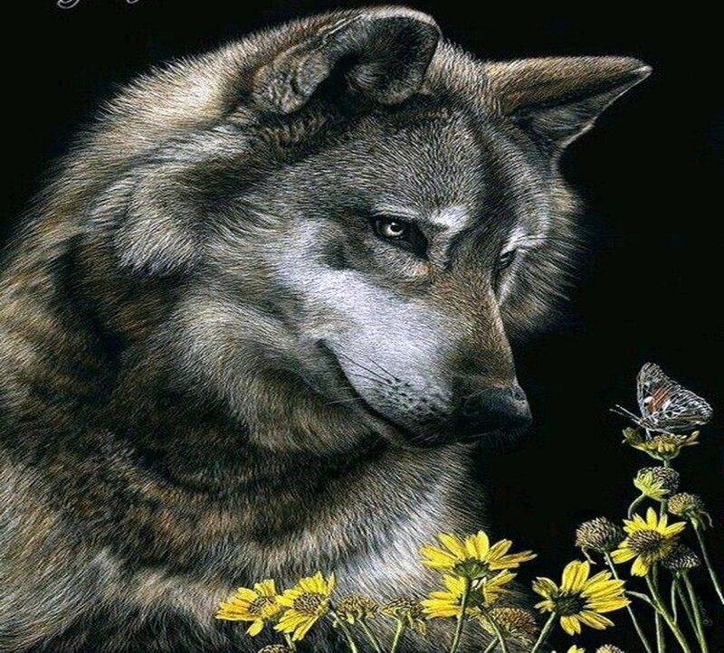 Wolf with Flowers