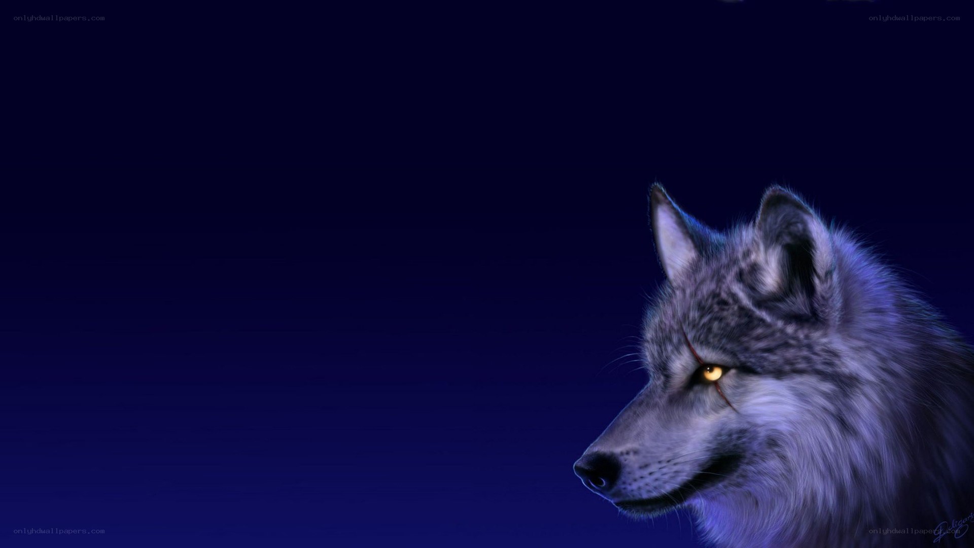 wolf with glowing eyes