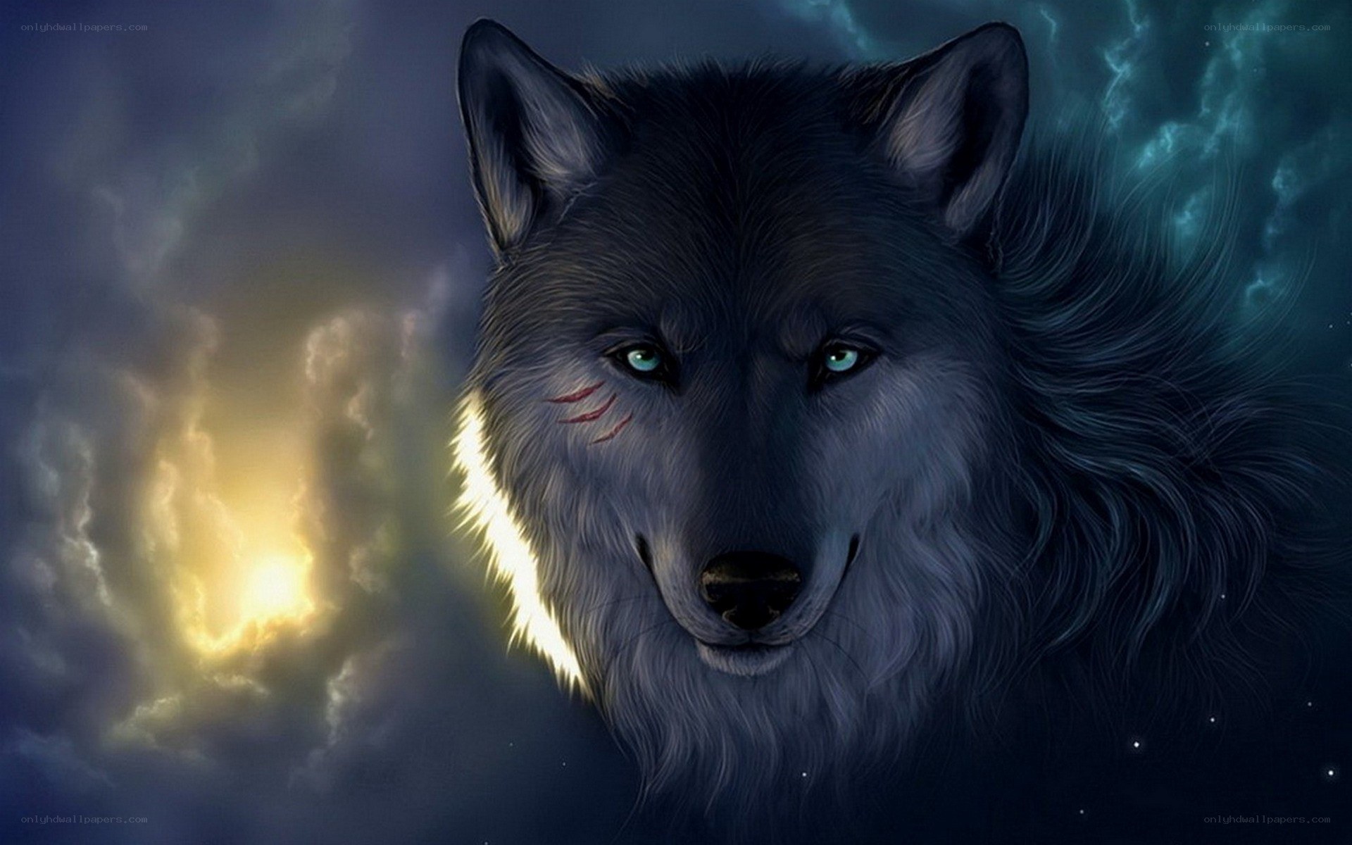 wolf with glowing eyes