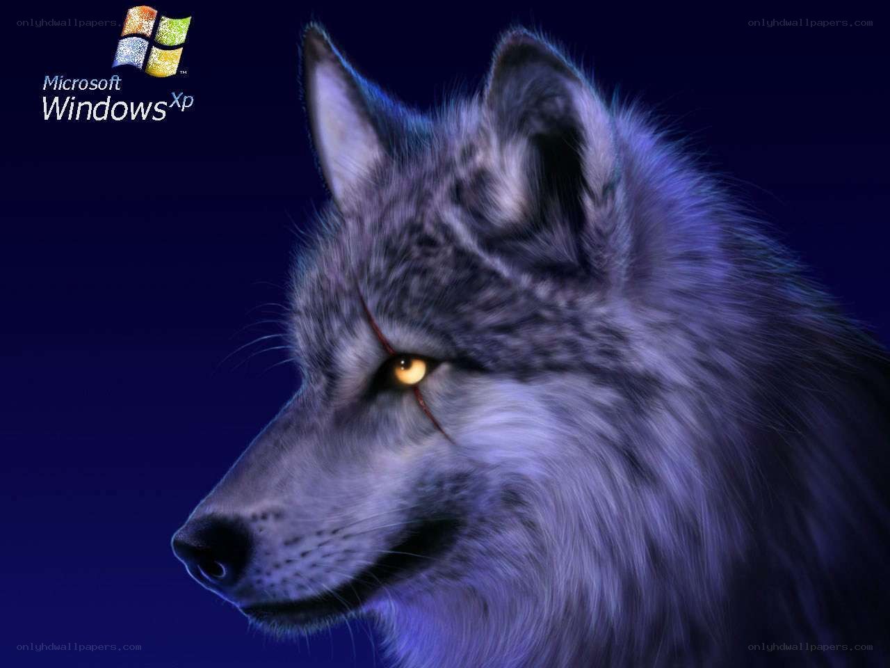 wolf with glowing eyes
