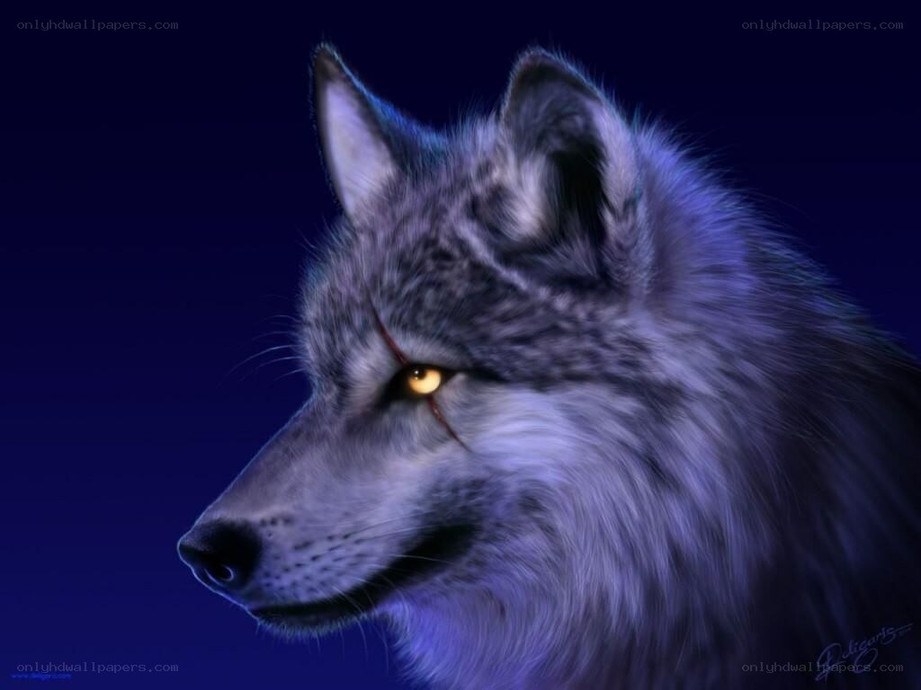 wolf with glowing eyes