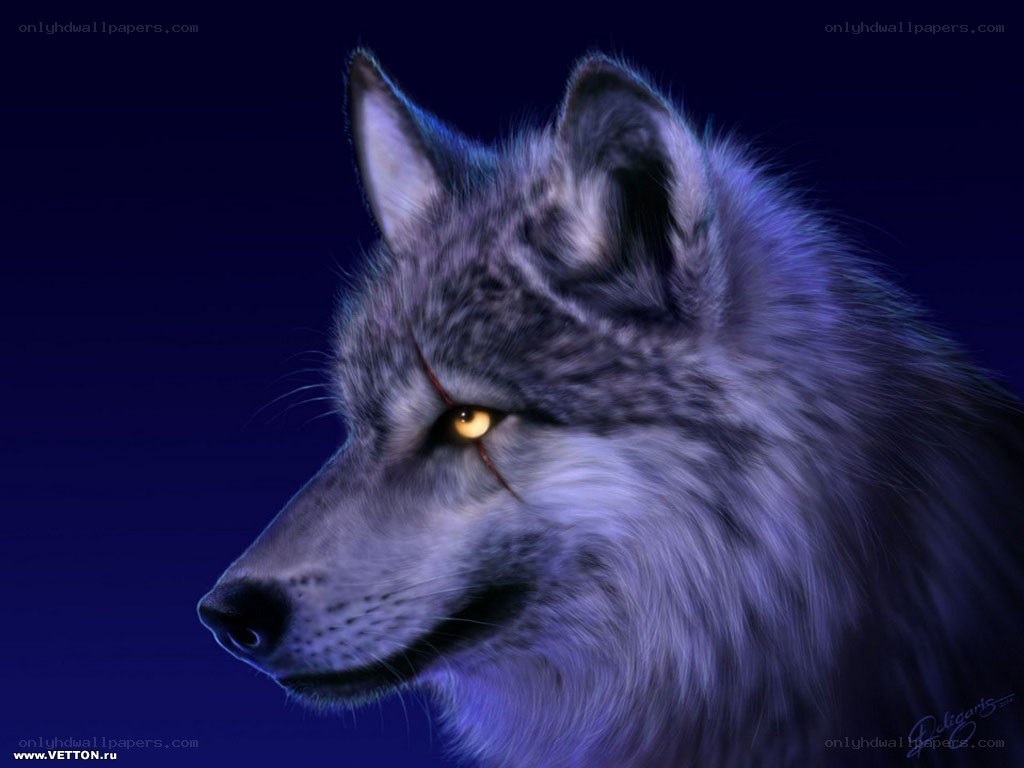 wolf with glowing eyes