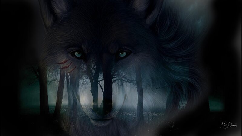 Wolf with Glowing Eyes — Black, Dark, Night, Digital Art
