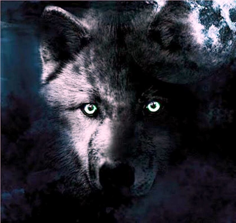 Wolf with Glowing Eyes — Black, Dark, Night