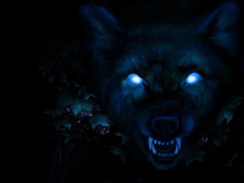 Wolf with Glowing Eyes — Blue, Dark