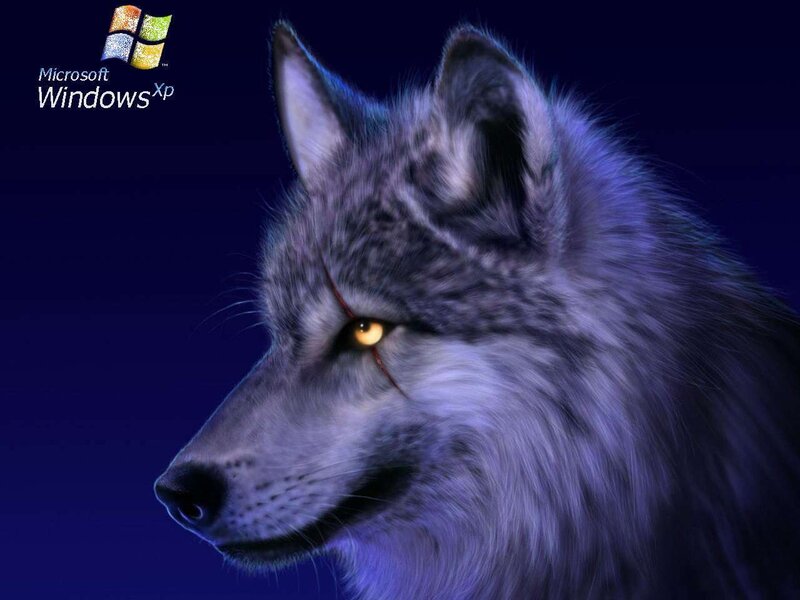 Wolf with Glowing Eyes — Blue, Dramatic, Night, Digital Art, Logo