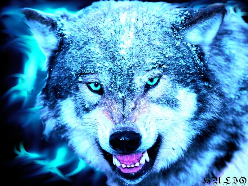 Wolf with Glowing Eyes — Blue, Dramatic, Night, Digital Art, Snow