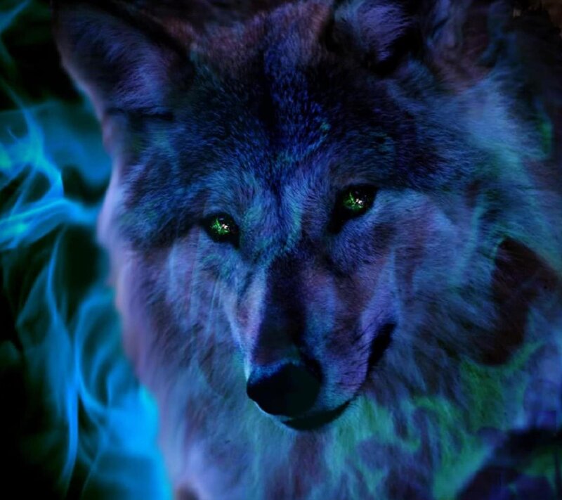 Wolf with Glowing Eyes — Blue, Mystical