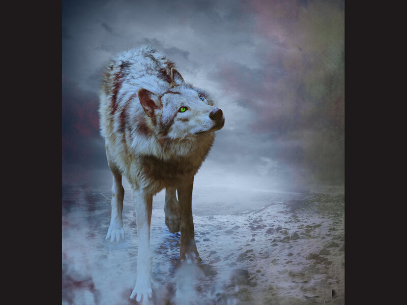 Wolf with Glowing Eyes — Gray, Dramatic, Night, Digital Art