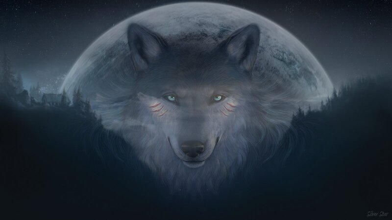 Wolf with Glowing Eyes — Gray, Dramatic, Night